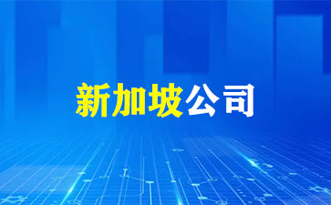 新加坡公司开户指南：开户条件与注意事项！（新加坡公司开户）